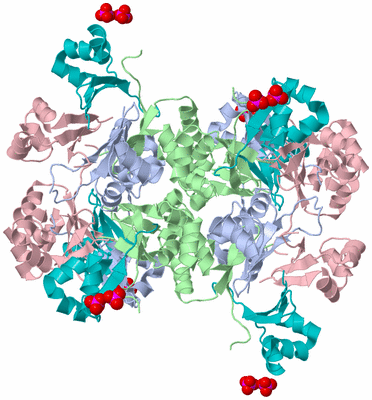 Image Biological Unit 3