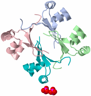 Image Biological Unit 4