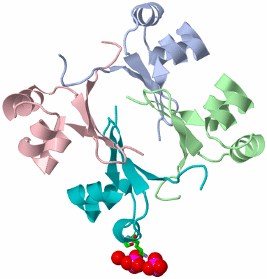 Image Asym. Unit - sites