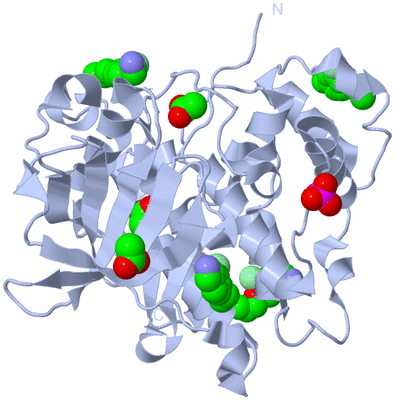 Image Biological Unit 1