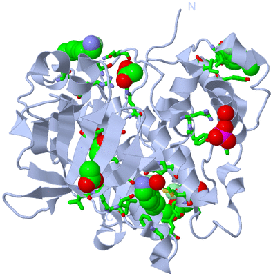 Image Biol. Unit 1 - sites