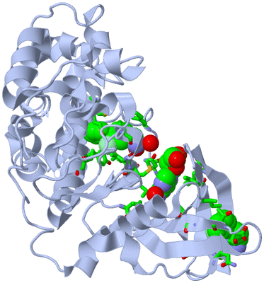 Image Biol. Unit 1 - sites