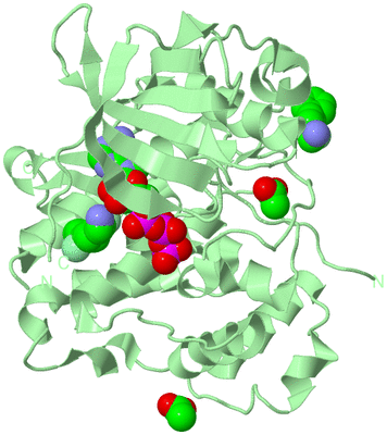 Image Biological Unit 2