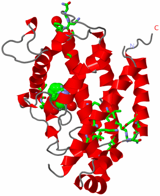 Image Asym. Unit - sites