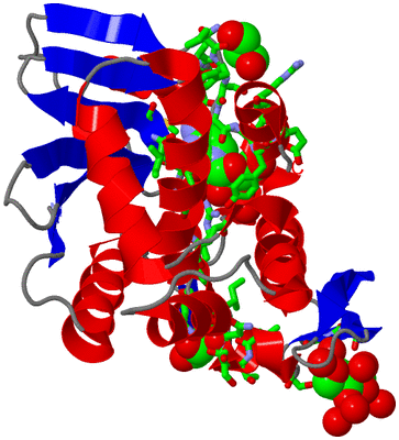 Image Asym./Biol. Unit - sites