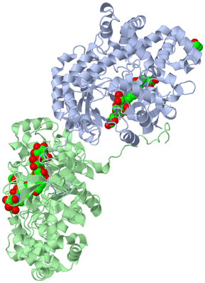 Image Asym./Biol. Unit