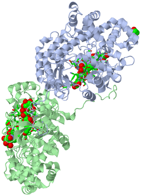 Image Asym./Biol. Unit - sites