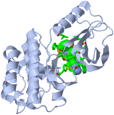 Image Biol. Unit 1 - sites