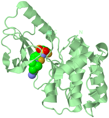 Image Biological Unit 2