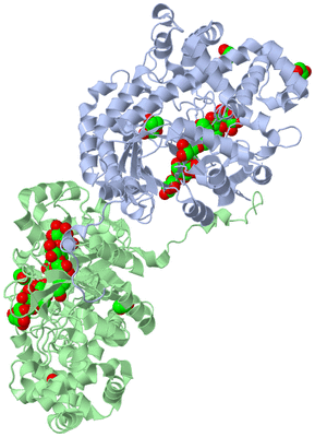 Image Asym./Biol. Unit