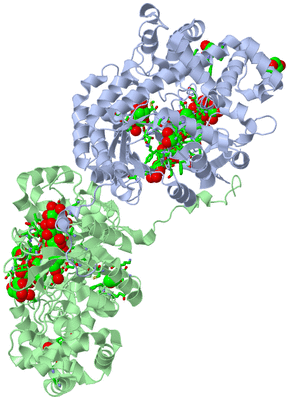 Image Asym./Biol. Unit - sites