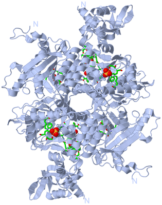 Image Biol. Unit 1 - sites