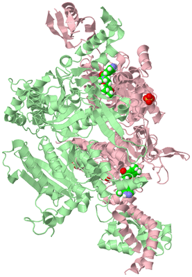 Image Biological Unit 2