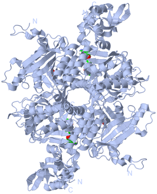 Image Biological Unit 1