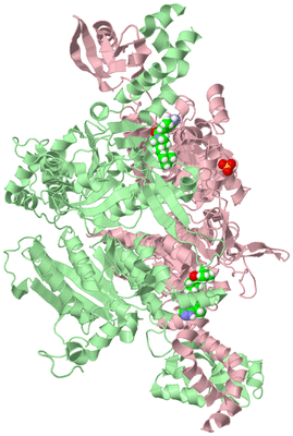 Image Biological Unit 2