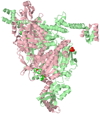 Image Asym./Biol. Unit