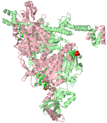 Image Asym./Biol. Unit - sites