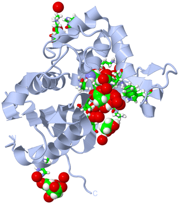 Image Biol. Unit 1 - sites