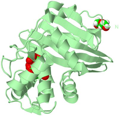 Image Biological Unit 2