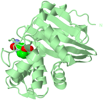 Image Biological Unit 2