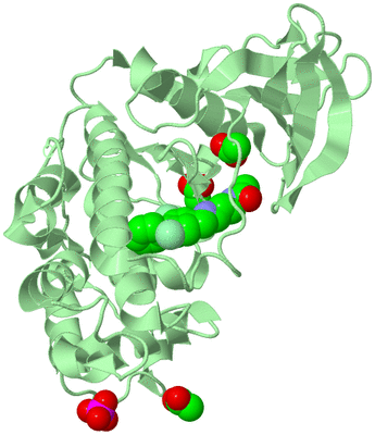 Image Biological Unit 2