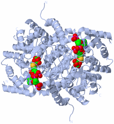 Image Biological Unit 1