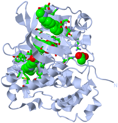 Image Biol. Unit 1 - sites