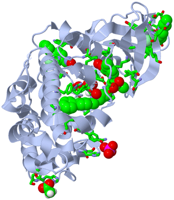 Image Biol. Unit 1 - sites