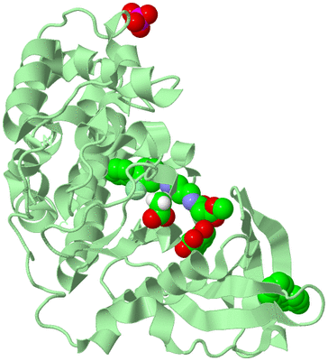 Image Biological Unit 2