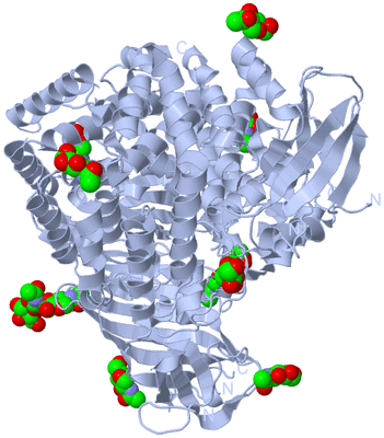 Image Biological Unit 1