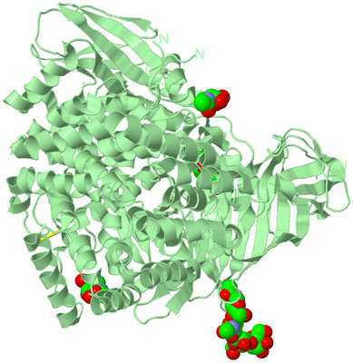 Image Biological Unit 2