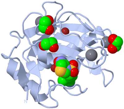 Image Biological Unit 1