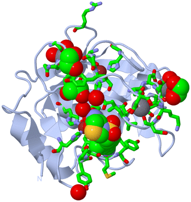 Image Biol. Unit 1 - sites