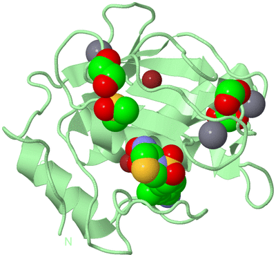 Image Biological Unit 2