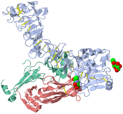 Image Biological Unit 1