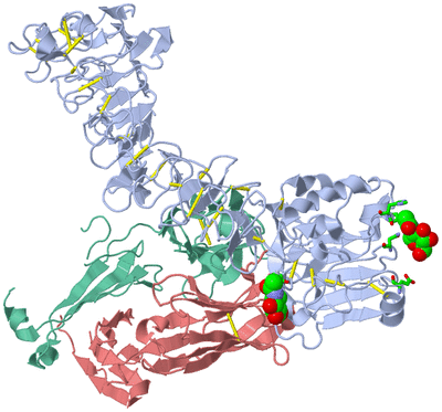 Image Biol. Unit 1 - sites