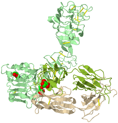 Image Biological Unit 2