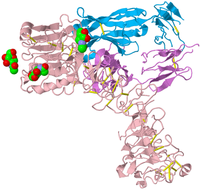 Image Biological Unit 3