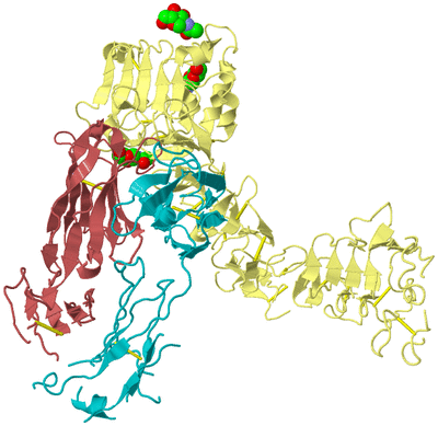 Image Biological Unit 4