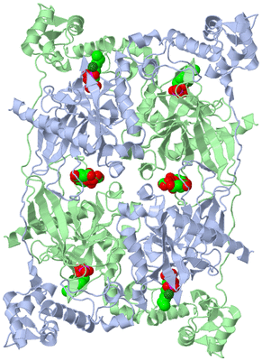 Image Biological Unit 1