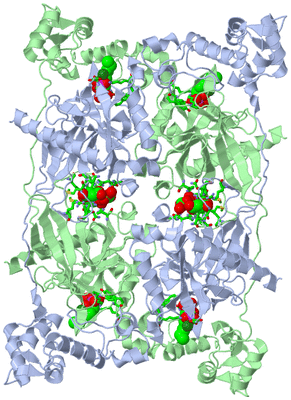 Image Biol. Unit 1 - sites