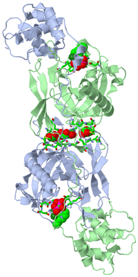 Image Asym. Unit - sites