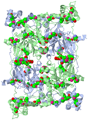 Image Biological Unit 1