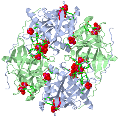 Image Biol. Unit 1 - sites