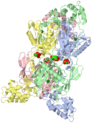 Image Asym./Biol. Unit