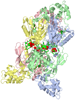 Image Asym./Biol. Unit - sites