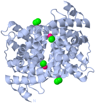 Image Biological Unit 1