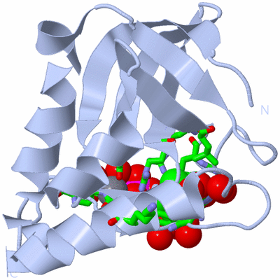 Image Biol. Unit 1 - sites