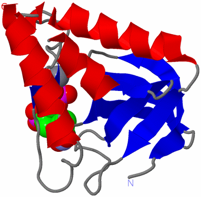 Image Asym./Biol. Unit