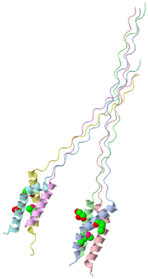 Image Asymmetric Unit